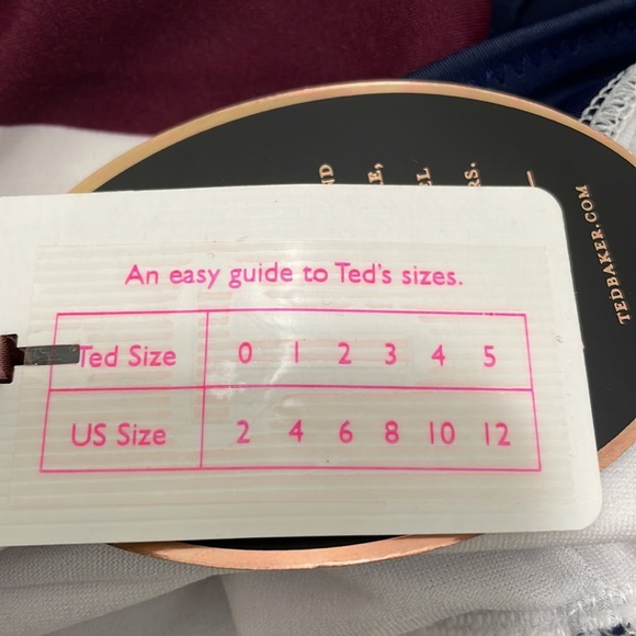 Ted Baker Contrast Stripe Dakira Swimsuit - Picture 4 of 4